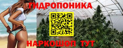 a pvp Нарткала