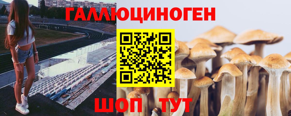 Галлюциногенные грибы мухоморы Топки