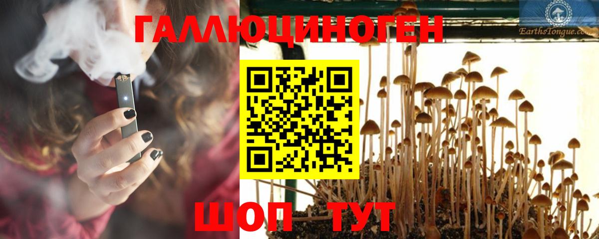 Топки  Галлюциногенные грибы ЛСД  Вход с VPN 